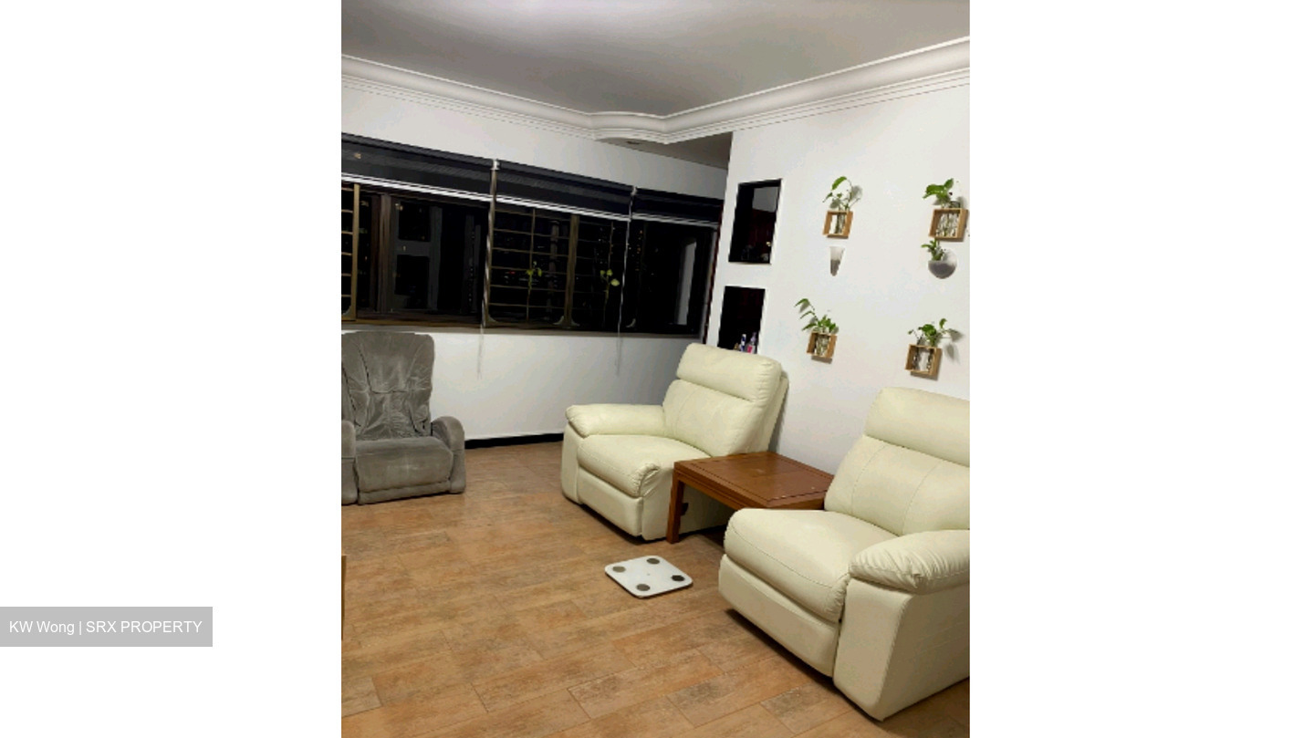 Blk 19 Cantonment Towers (Bukit Merah), HDB 4 Rooms #580074811